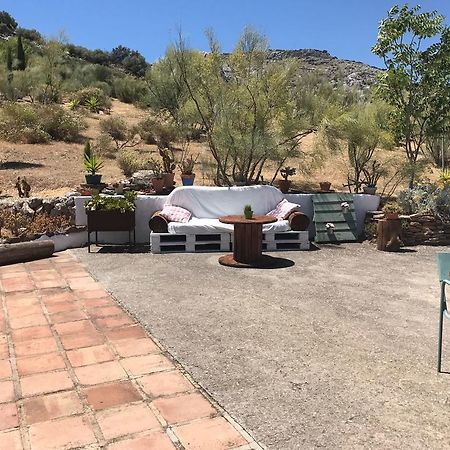 Cortijo Nuevo Alojamiento Rural Cuevas del Becerro المظهر الخارجي الصورة