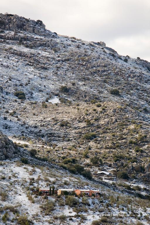Cortijo Nuevo Alojamiento Rural Cuevas del Becerro المظهر الخارجي الصورة