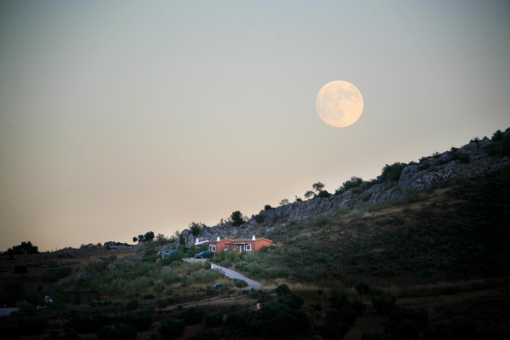 Cortijo Nuevo Alojamiento Rural Cuevas del Becerro المظهر الخارجي الصورة